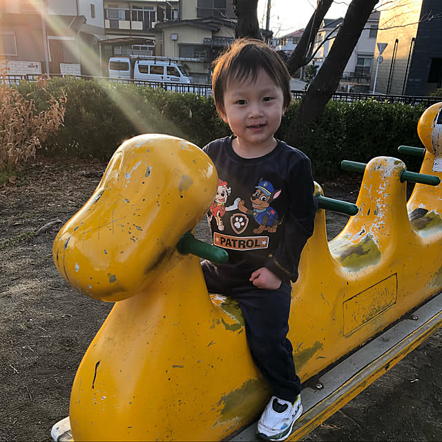 実例写真