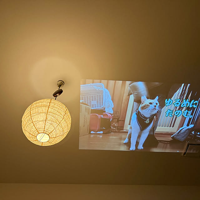 shior_i1108さんの実例写真