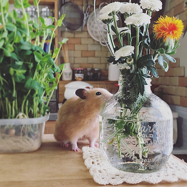 emiさんの実例写真