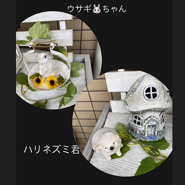 YuuKoさんの実例写真