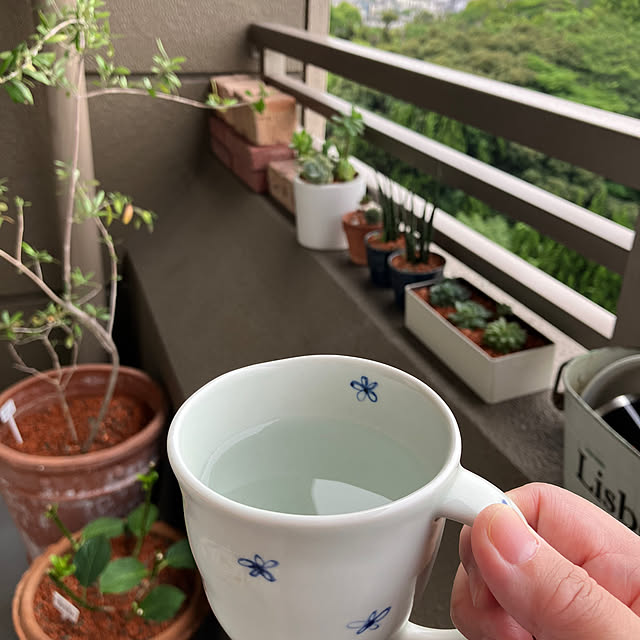koshiregutyoさんの部屋