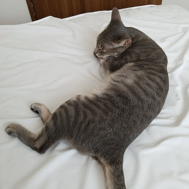 yukiさんの実例写真