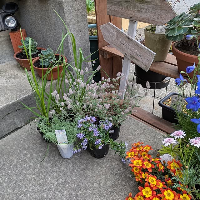 tikuwaさんの部屋