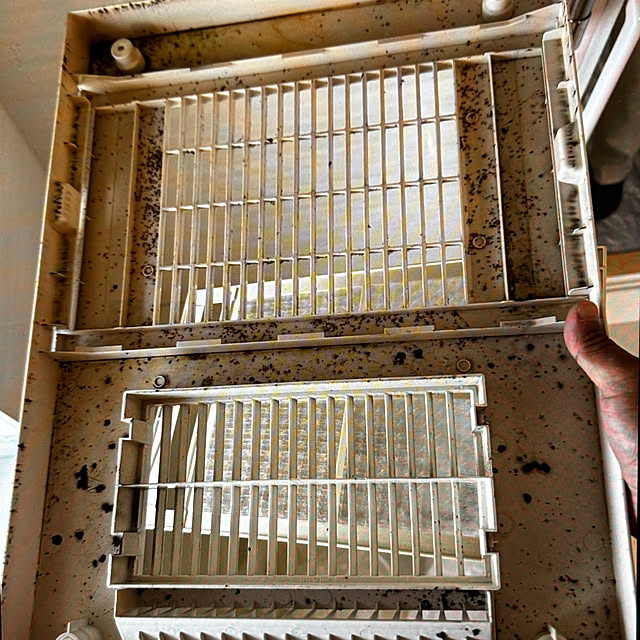 chIoeさんの部屋