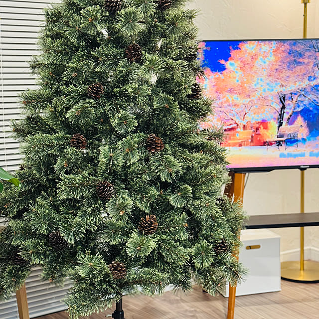 Yume_usagi_13さんの部屋