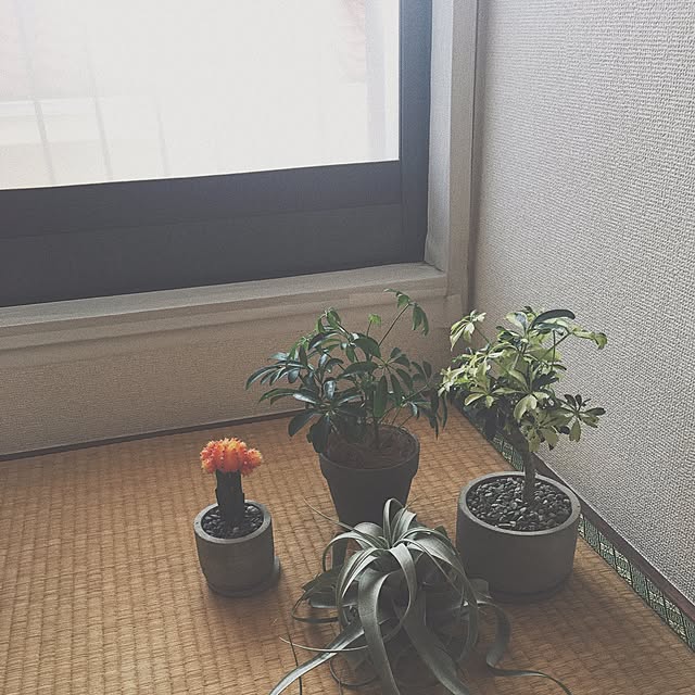 tamaki-0721さんの実例写真