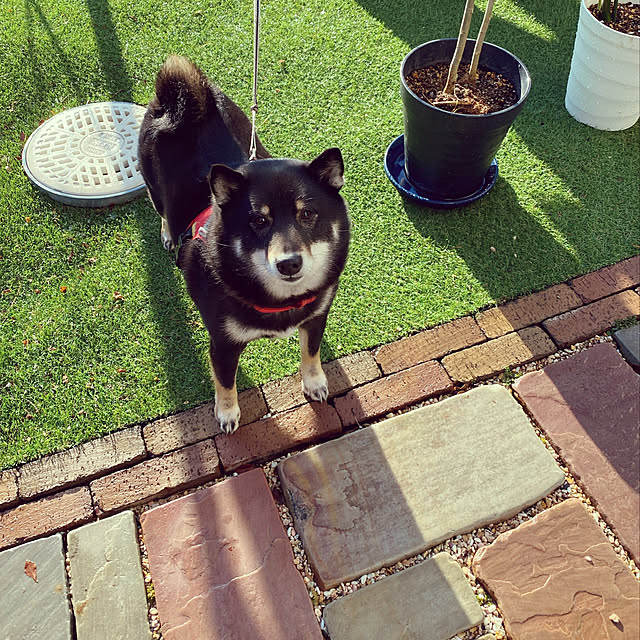 moainanoさんの実例写真