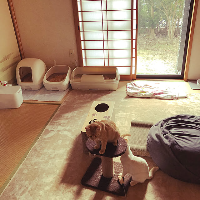 himetanさんの実例写真