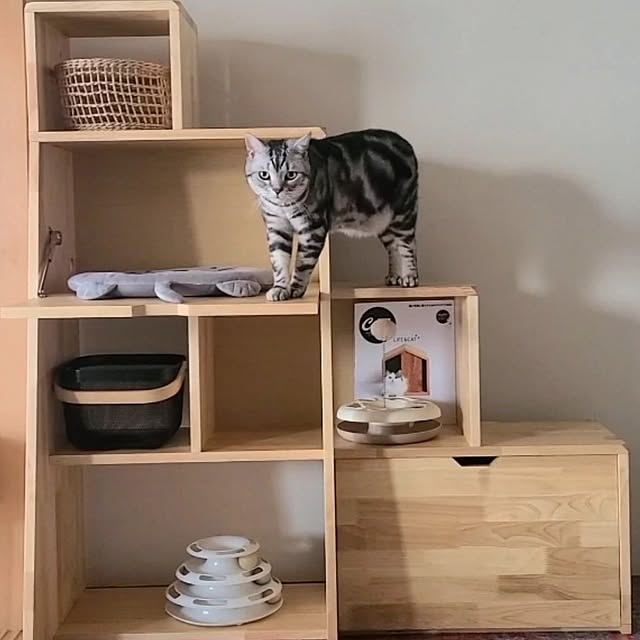 lovepeaceさんの部屋