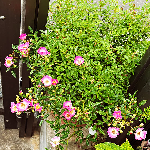 KYONさんの部屋