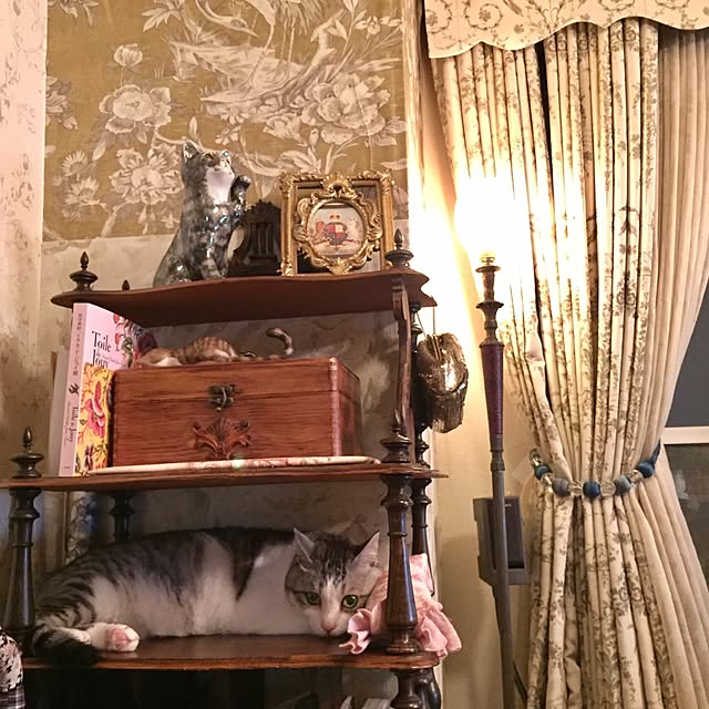 emmyyさんの実例写真