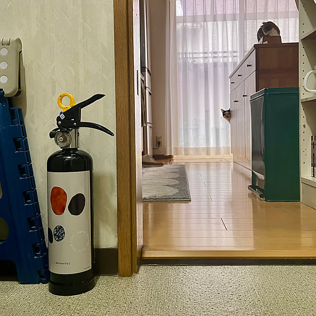nobikoさんの部屋
