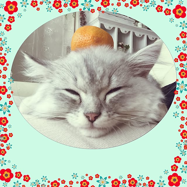 mikittyさんの実例写真