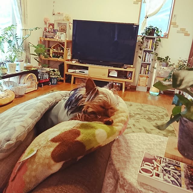 akiさんの実例写真
