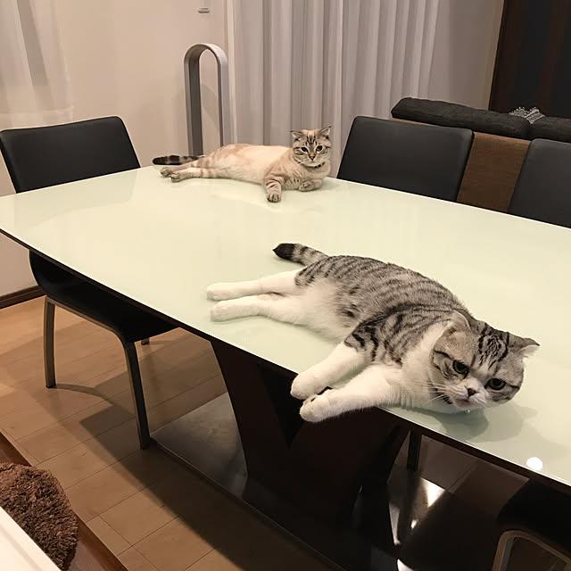 Dahliaさんの実例写真