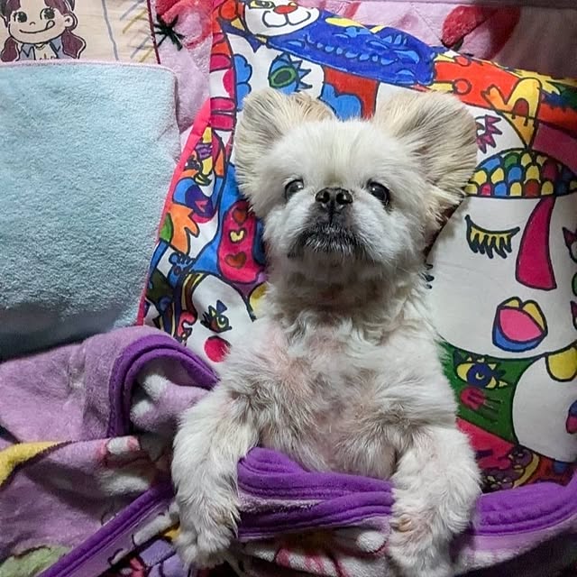 kumutanさんの部屋