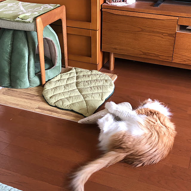 uchidaizuさんの部屋