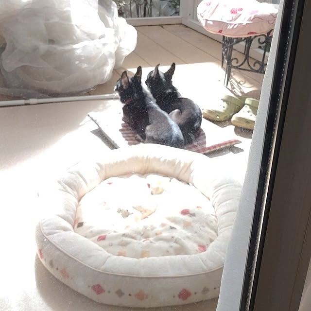 Bienvenueさんの部屋
