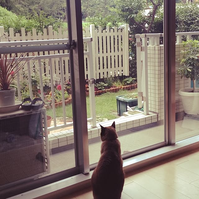 dodoさんの実例写真