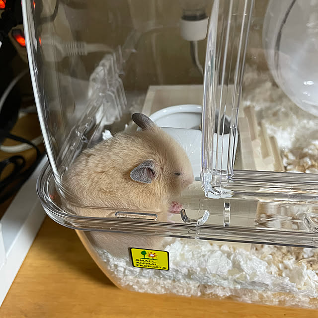 nagiさんの実例写真