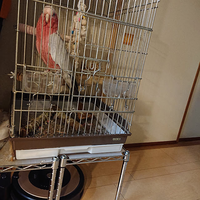 tkさんの実例写真