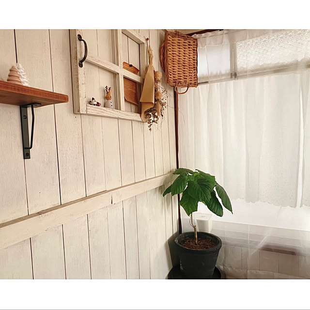 rookuさんの部屋