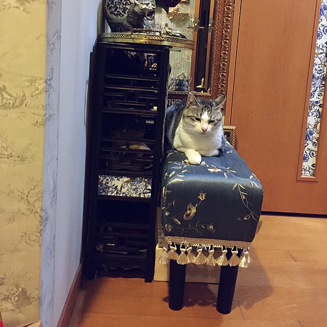 emmyyさんの実例写真