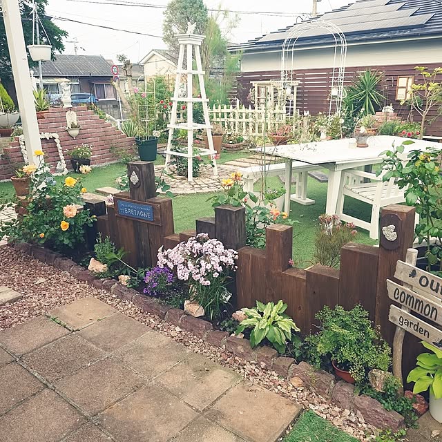 masayoさんの実例写真