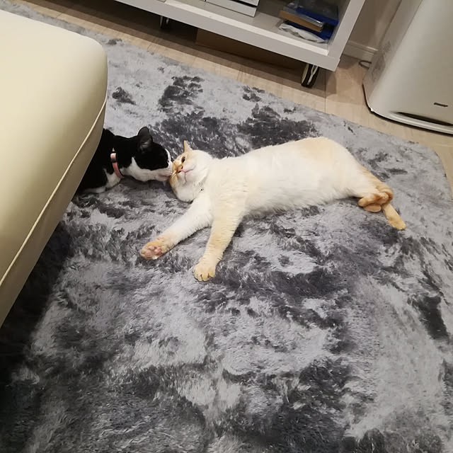 nikeyamaさんの実例写真