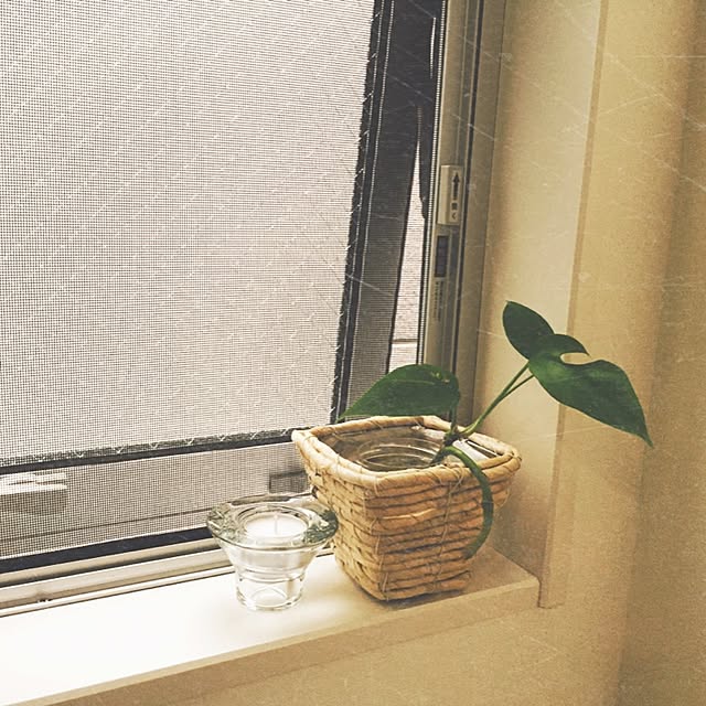 k.koさんの実例写真