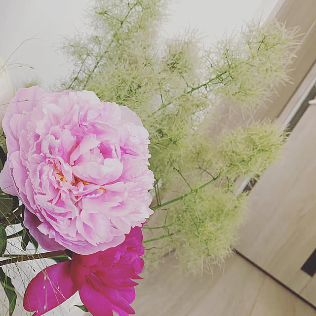 alohayukiさんの実例写真