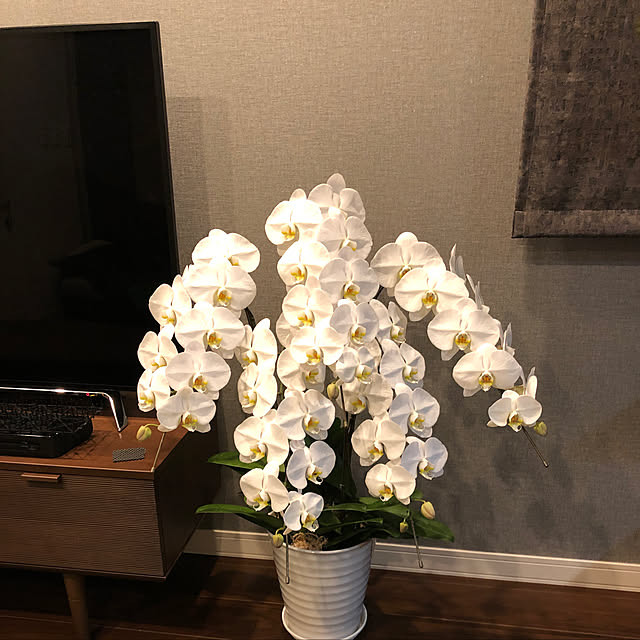 garikoさんの実例写真
