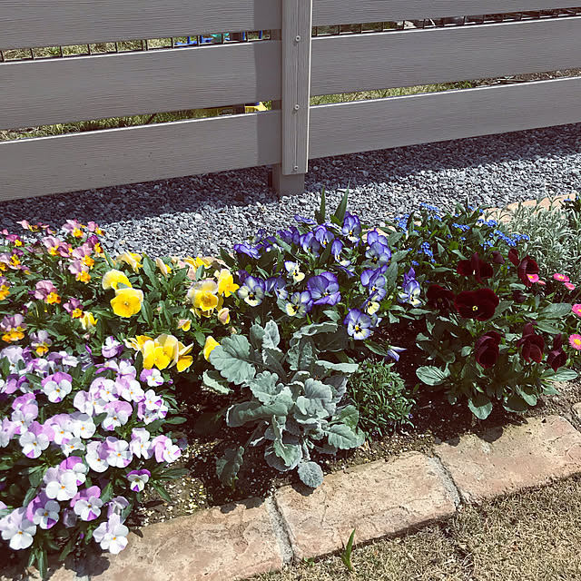 nbby16さんの実例写真