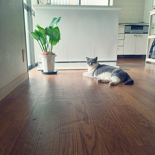 rhuさんの実例写真