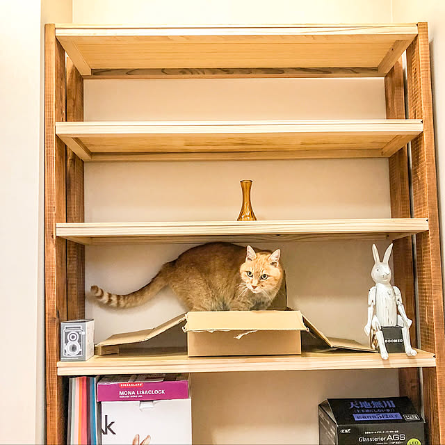 Tomさんの実例写真