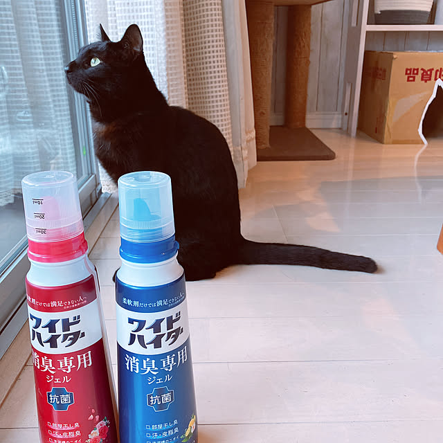 nekomiさんの部屋