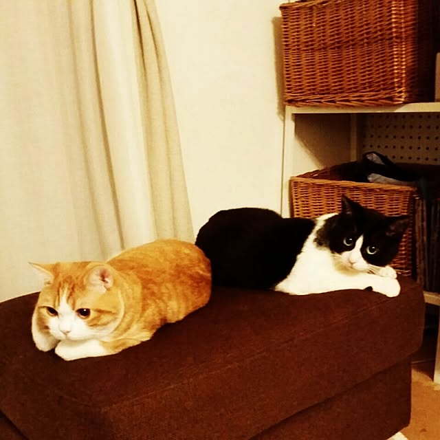 mi123さんの実例写真