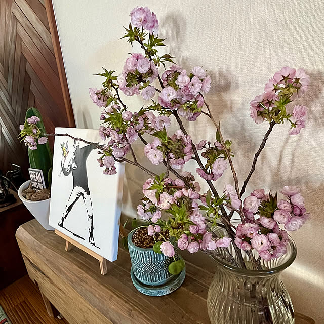 実例写真