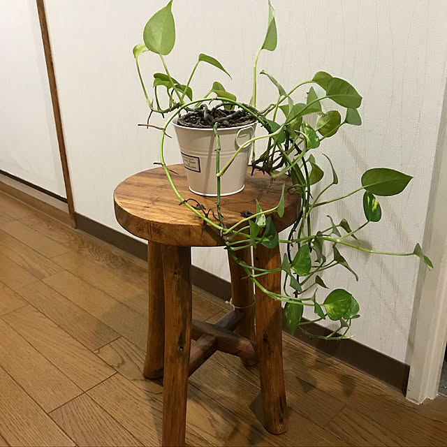 pakilaさんの実例写真
