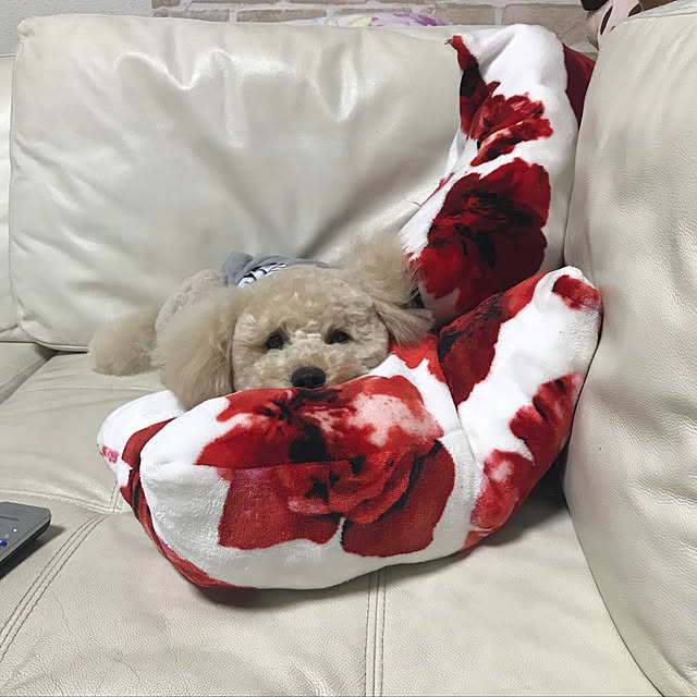 yuki89さんの実例写真