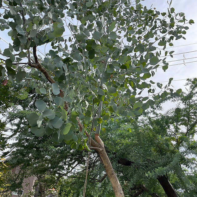 Andaluciaさんの部屋