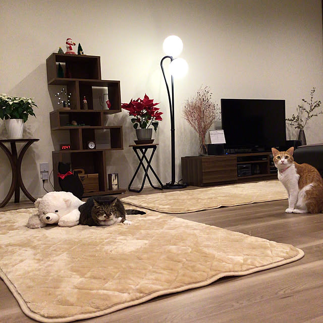 houenさんの実例写真