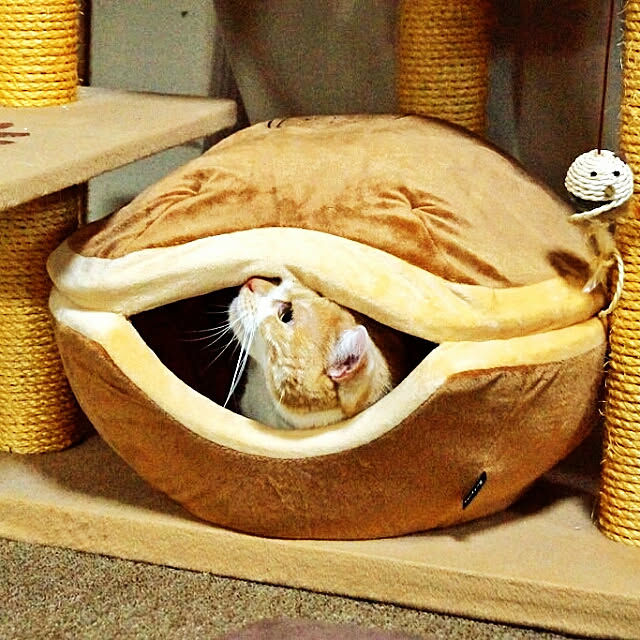 kobakissaさんの実例写真