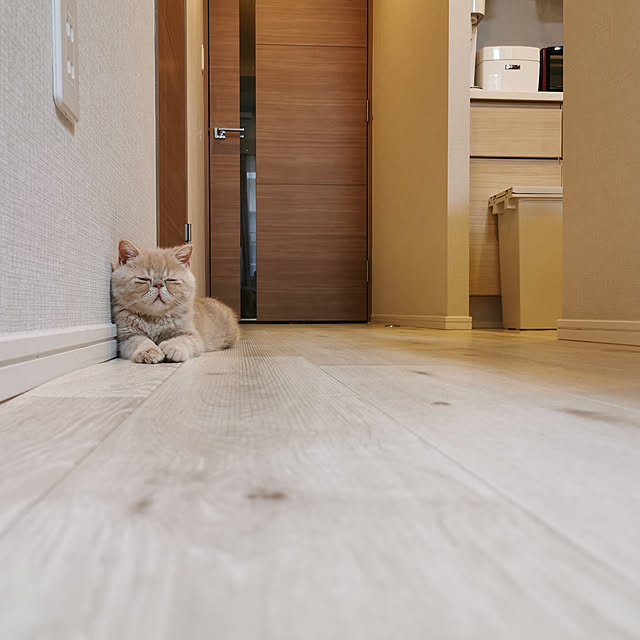 nimさんの実例写真
