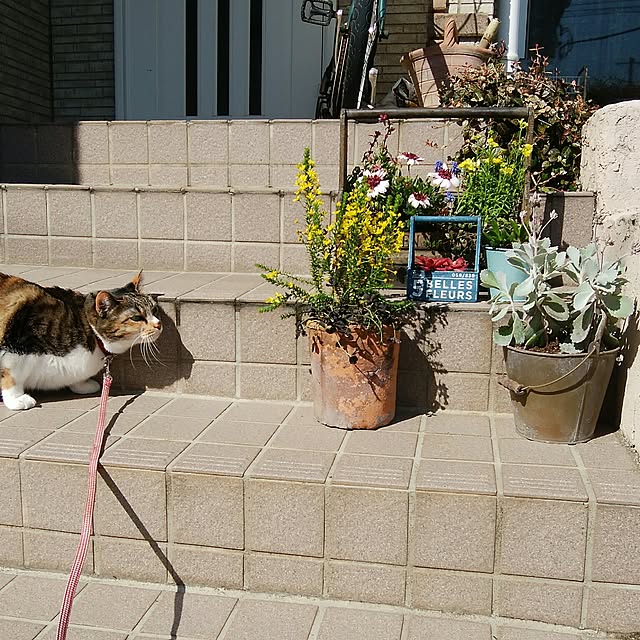 tomo1220さんの実例写真