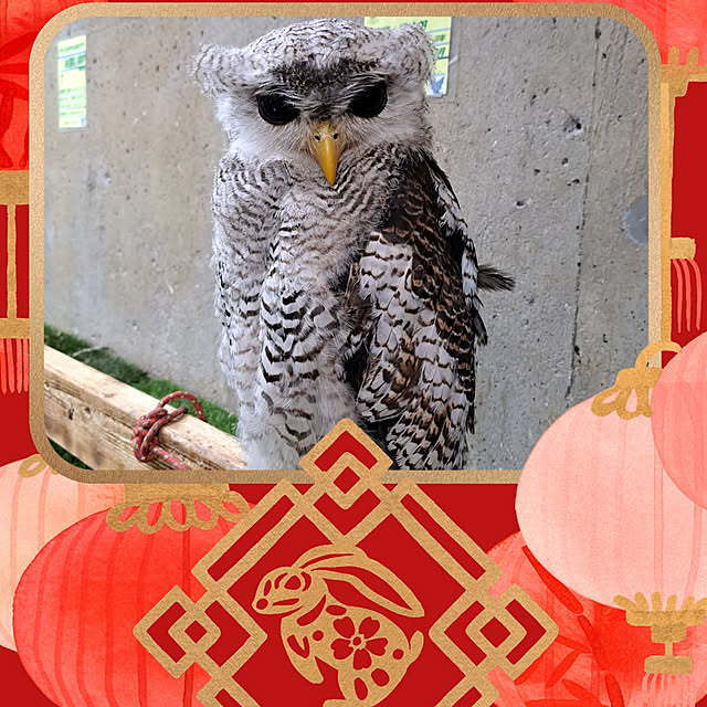 noaさんの実例写真