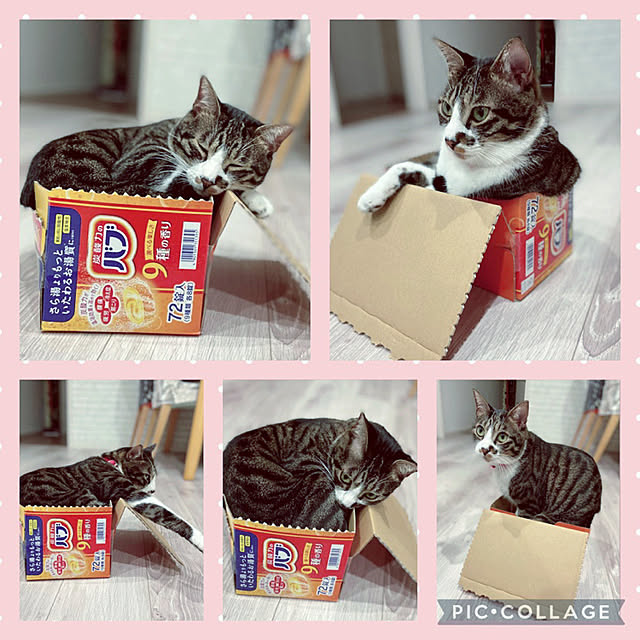 ippu0303Karinさんの実例写真