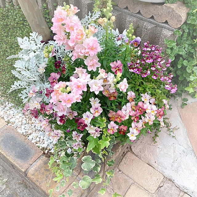 soraさんの実例写真