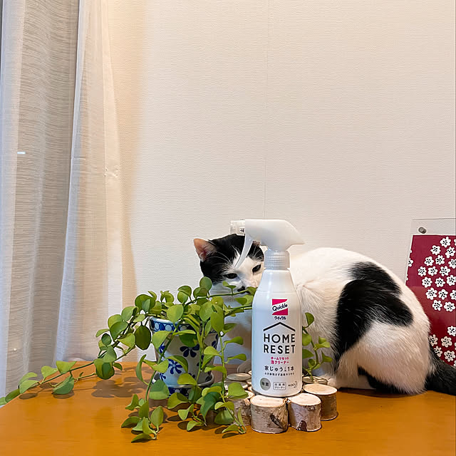 nobikoさんの実例写真