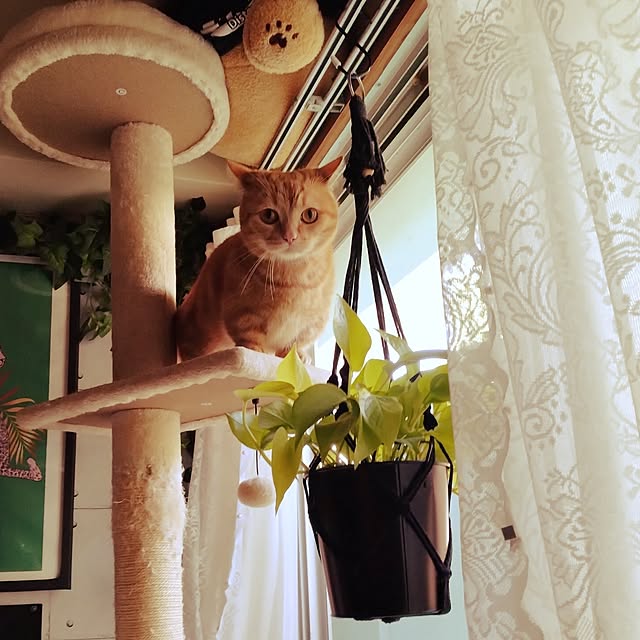 runaさんの部屋